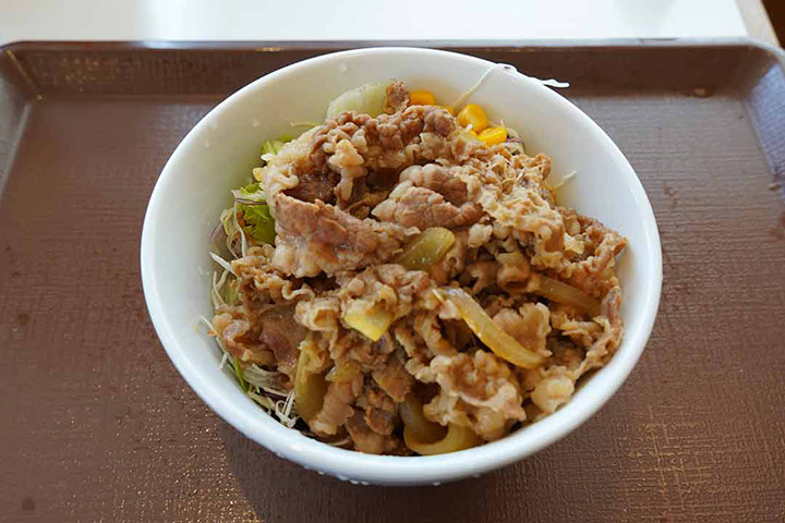 牛丼ライト（並盛）