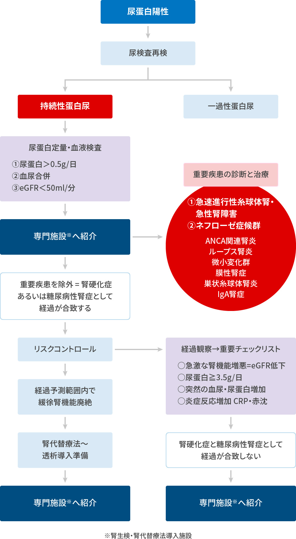 CKD・透析・腎移植 臨床検査ガイド CKD・透析・腎移植 臨床検査ガイド | 深川雅史, 和田健彦 |本