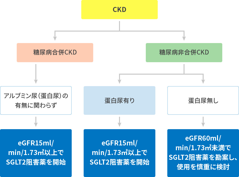 CKD治療におけるSGLT2阻害薬の使用に関するフローチャート