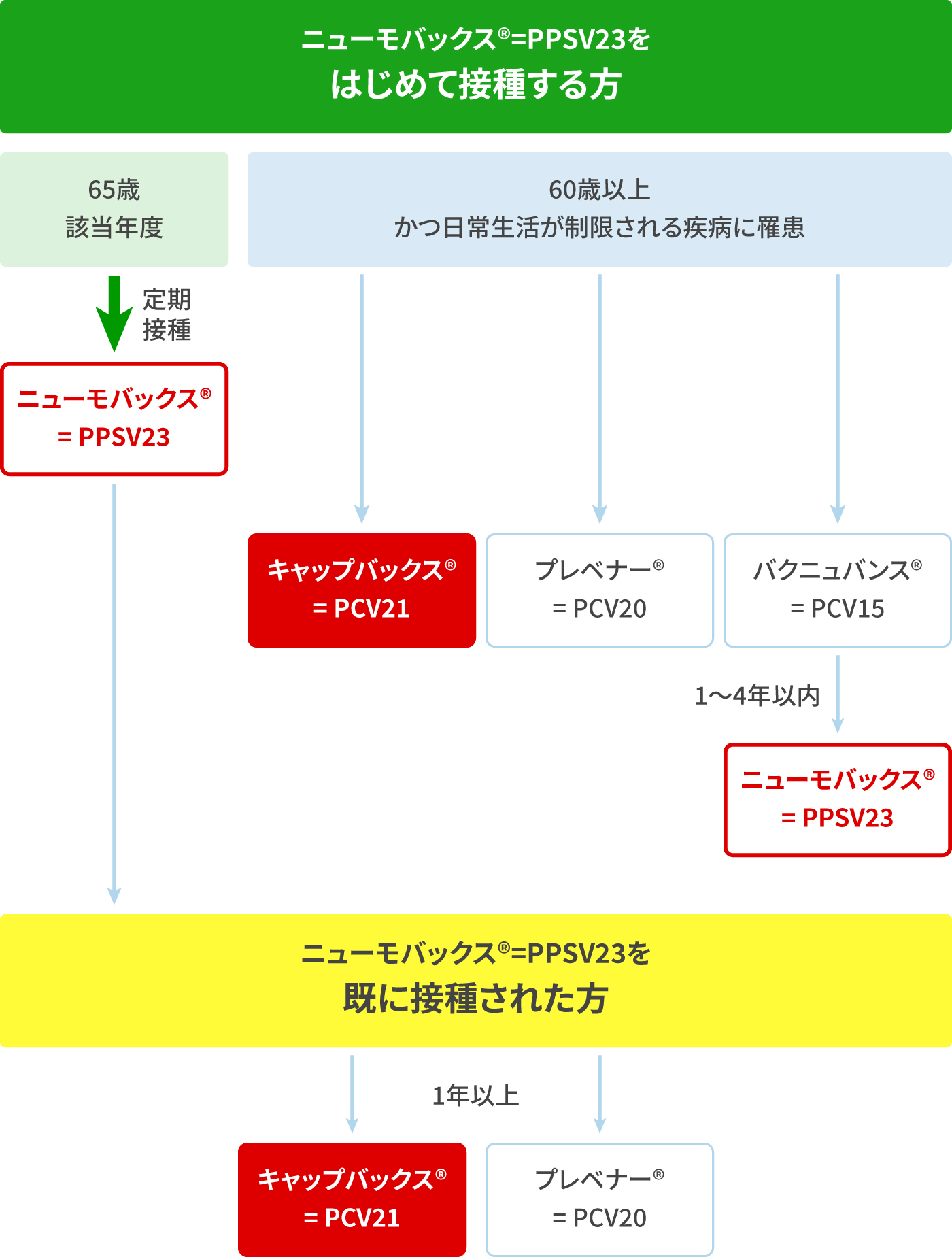 65歳以上の成人に対する肺炎球菌ワクチン接種スケジュールの考え方